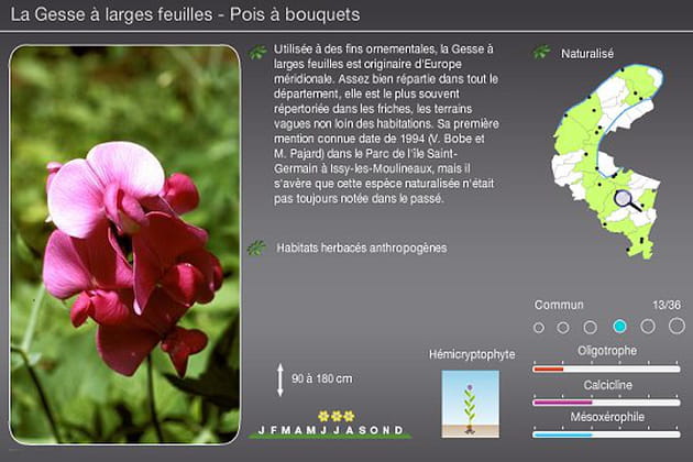 Atlas de la flore sauvage des Hauts-de-Seine