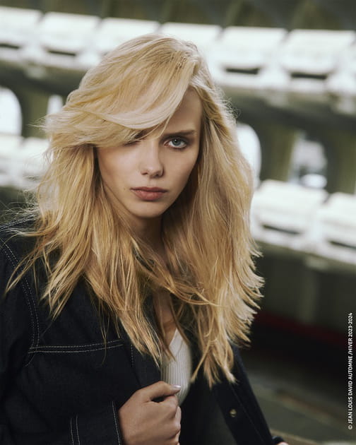 Le d&eacute;grad&eacute; dynamique avec m&egrave;che