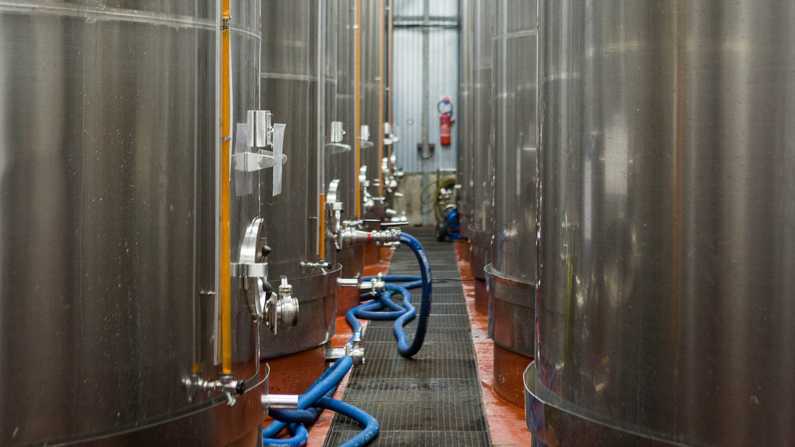 Clarification et fermentation