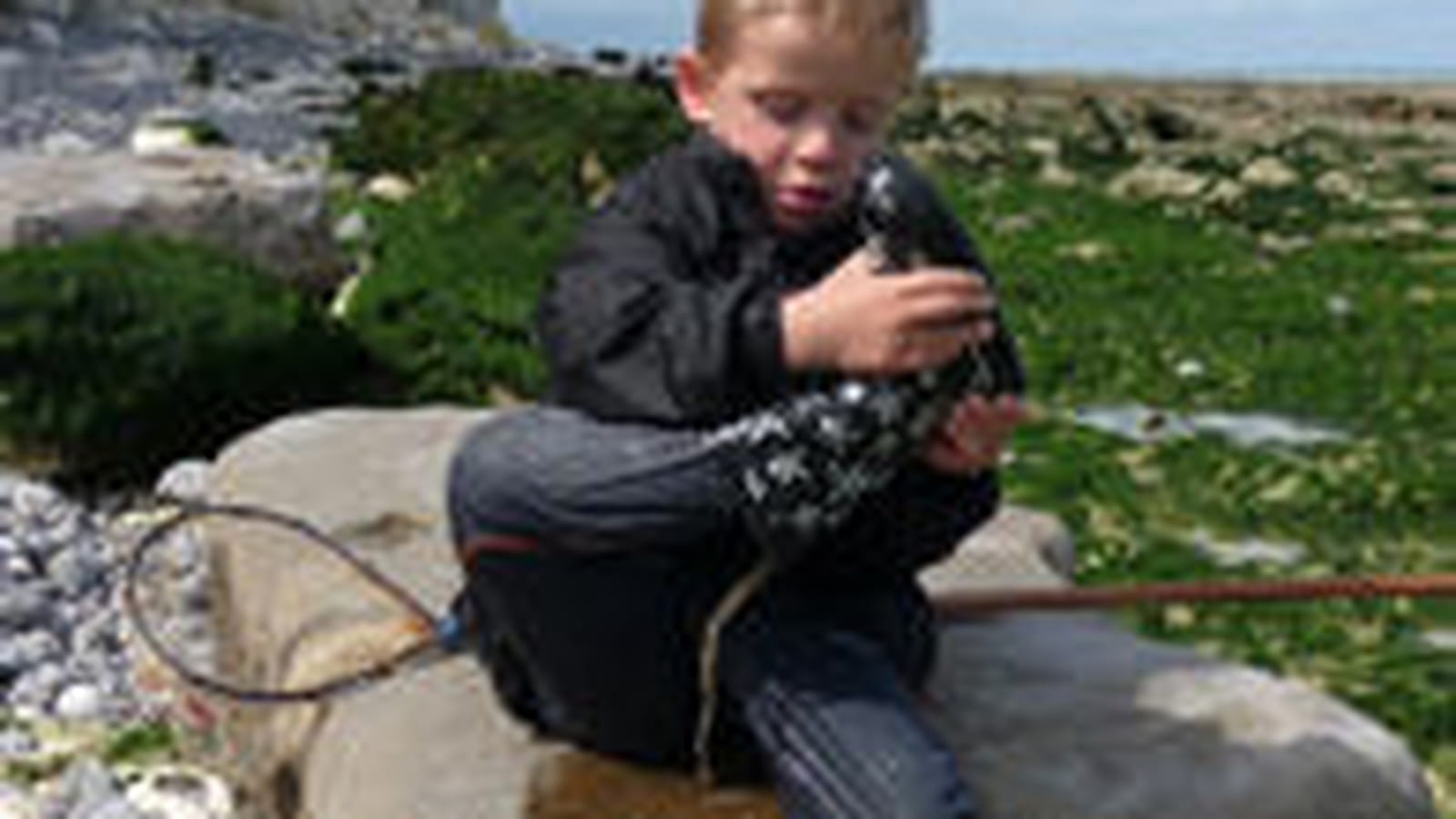 A la pêche aux moules