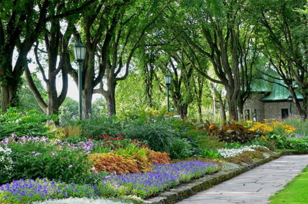 Un massif de couleurs