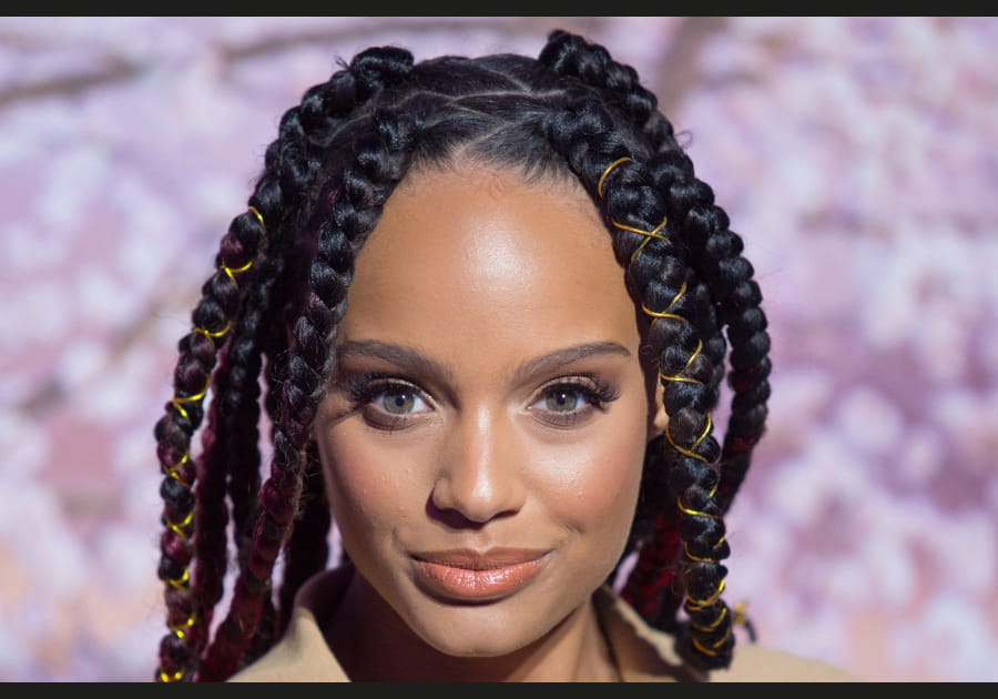 Les tresses d'Alicia Aylies