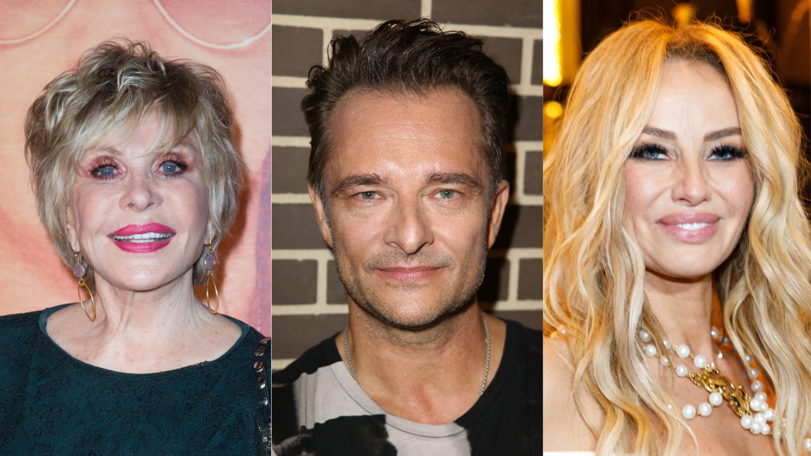 Sophie Darel, David Hallyday, Adriana Karembeu