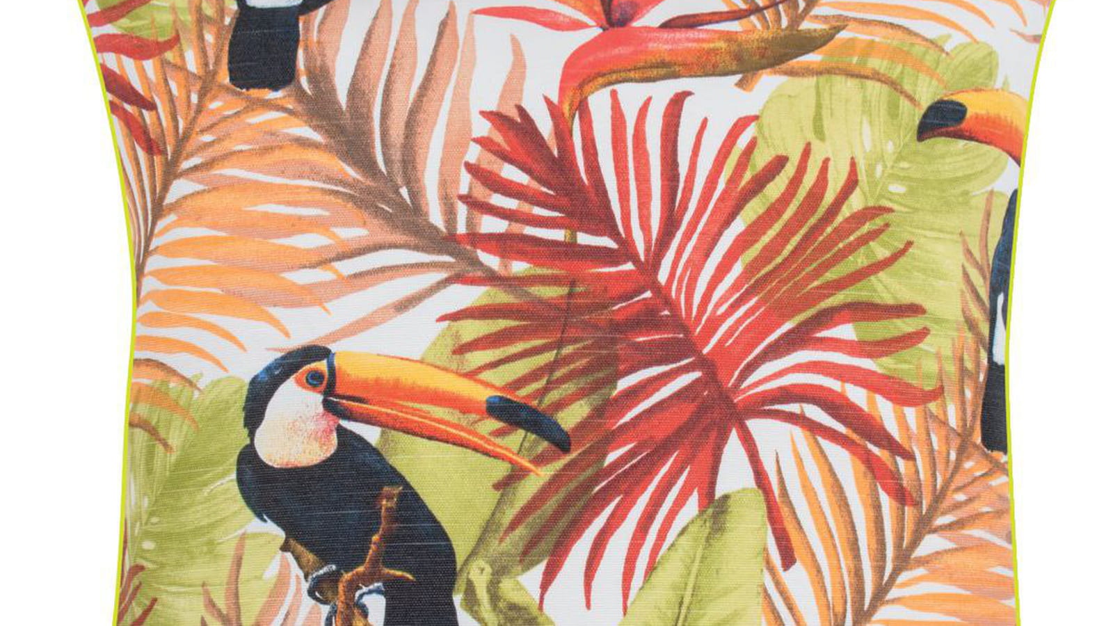 Oiseau toucan