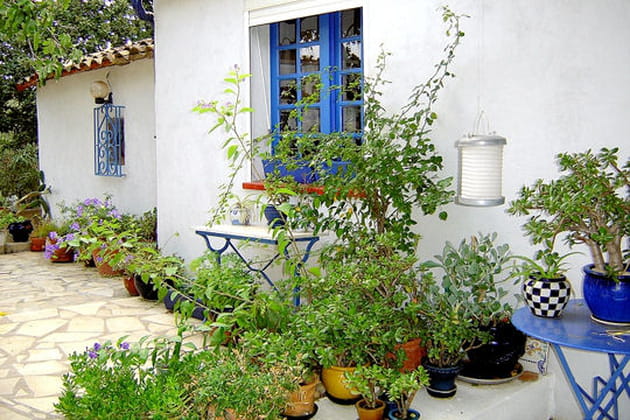 La couleur dominante