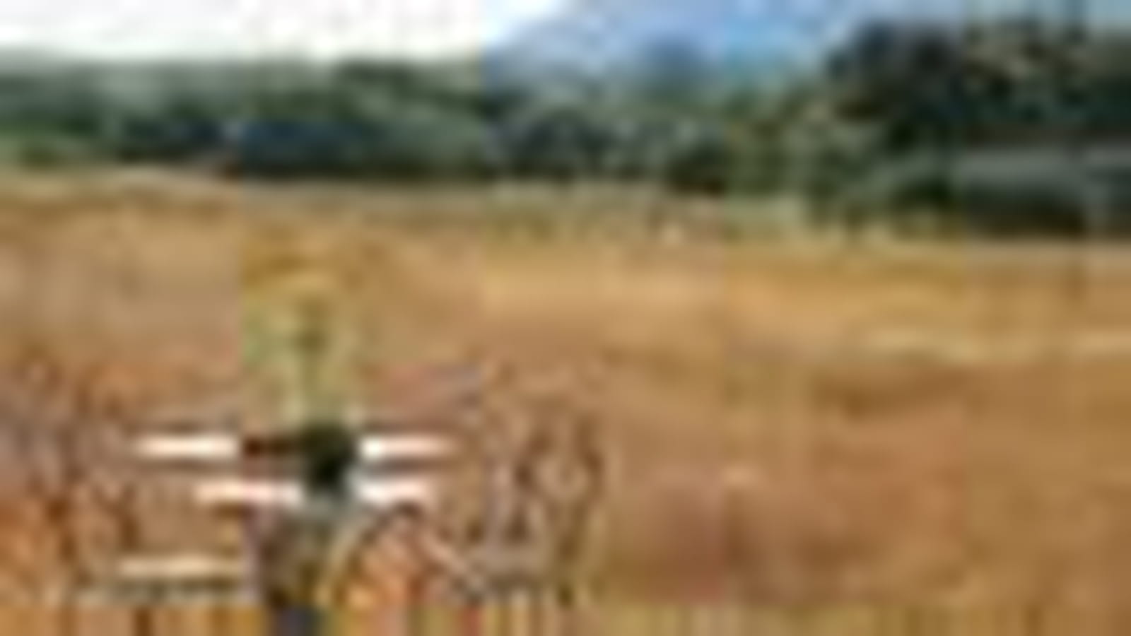 Paysage