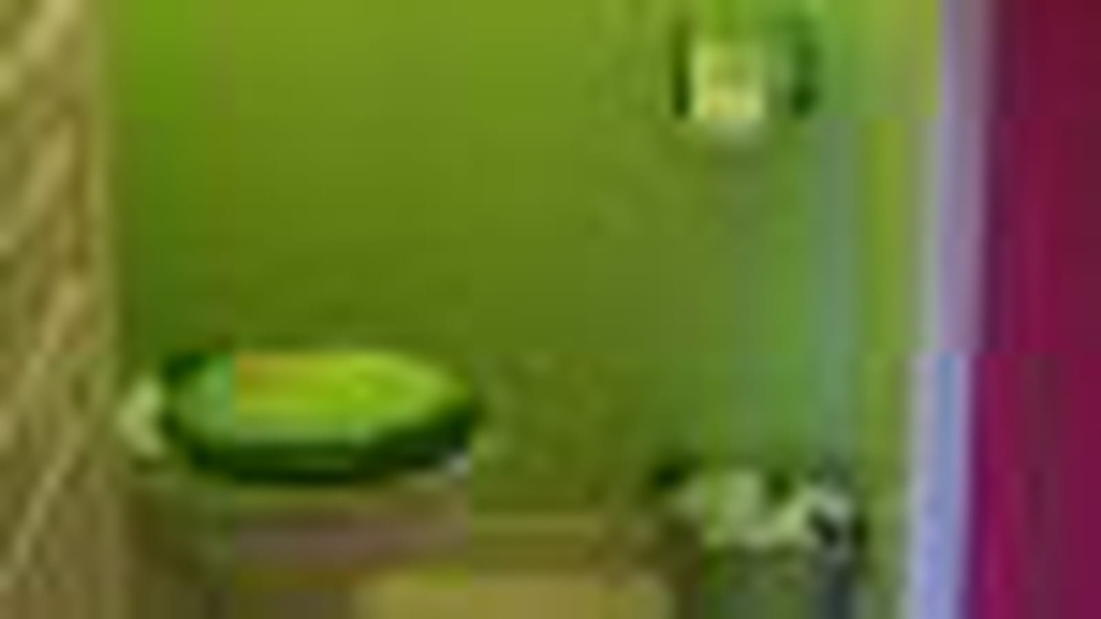 Les toilettes chez Cédric