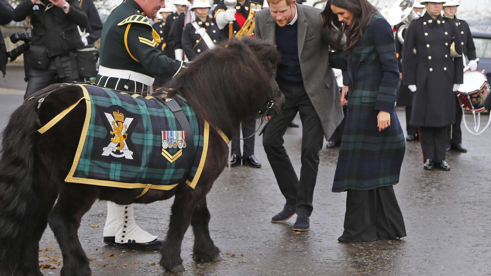 Le poney, c'est leur dada