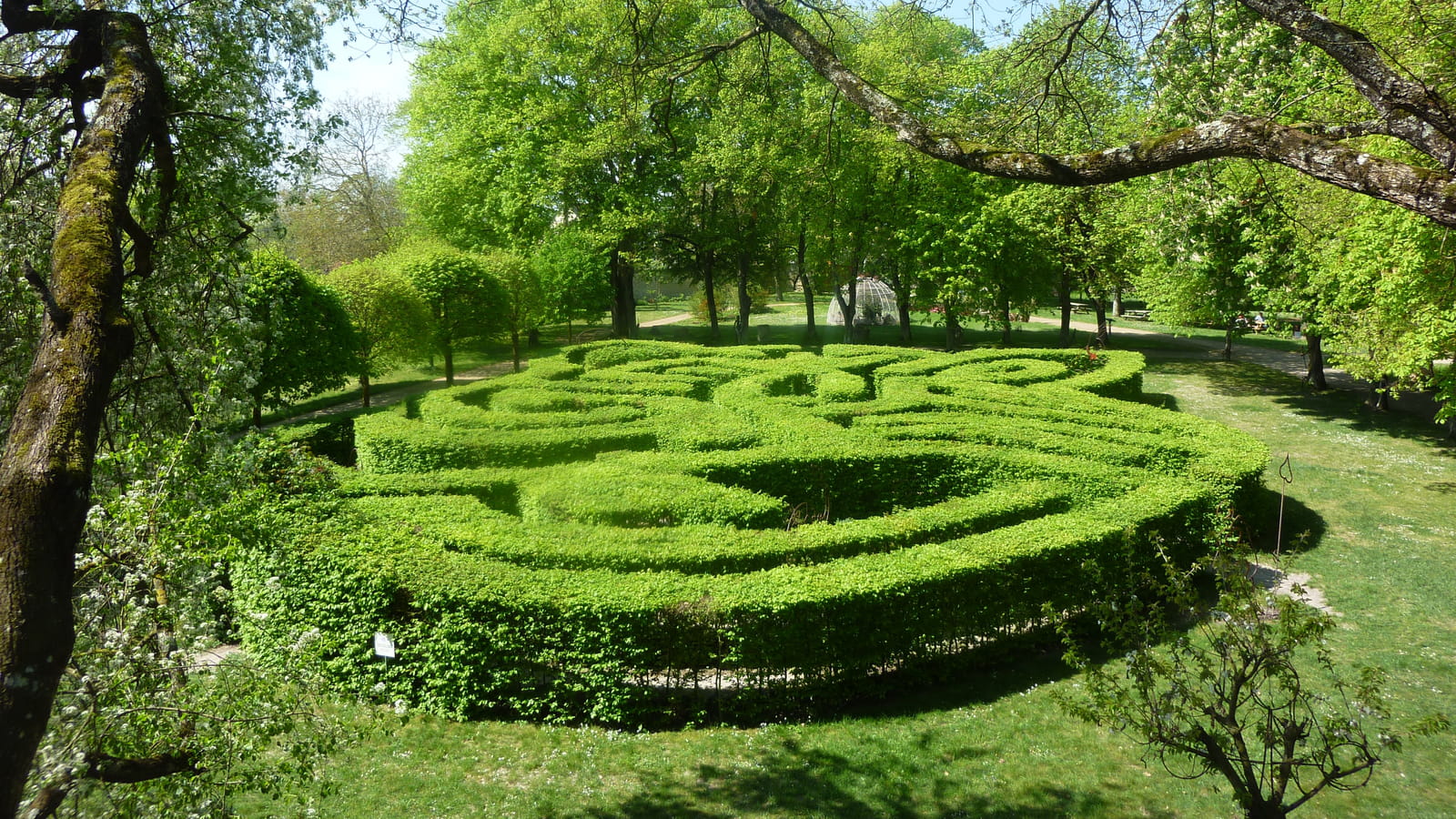 Labyrinthe
