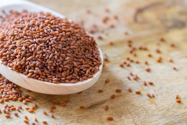 Graines de Halim ou graines de cresson alénois