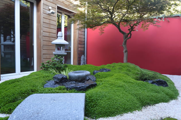 Apr&egrave;s&nbsp;: un petit pin symbolique