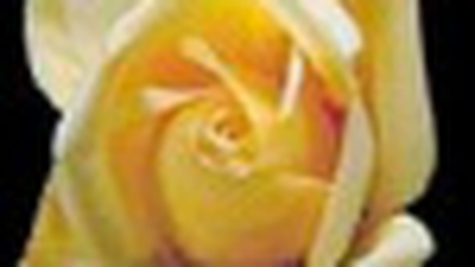 Rêve d'or
