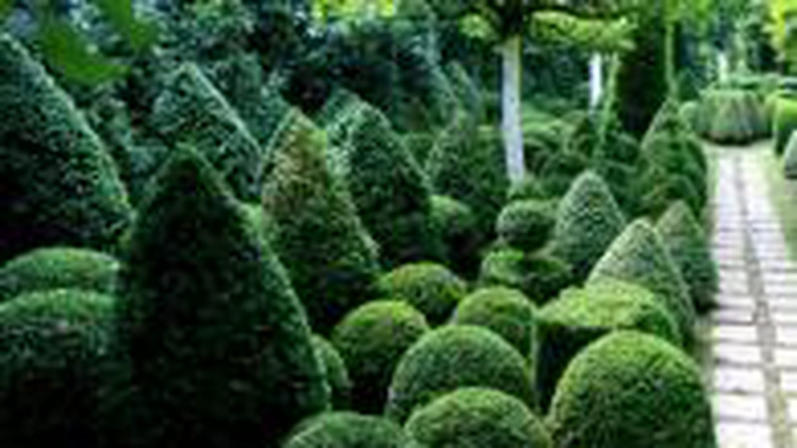 Jardin de topiaires
