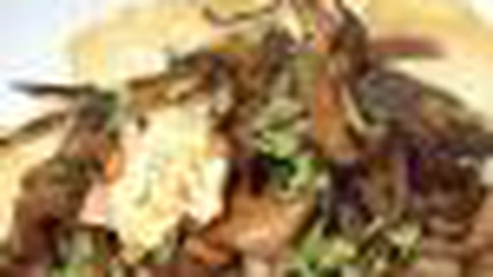 Cèpes