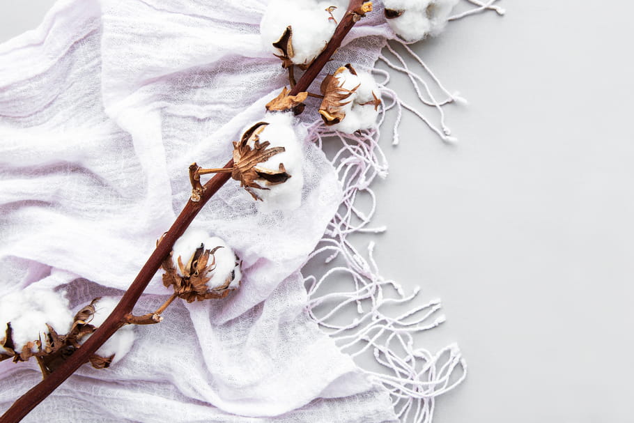 Vêtements en coton bio : définition, labels et idées reçues