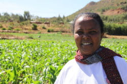 fanta est la chef de la communauté des femmes de la vallée.