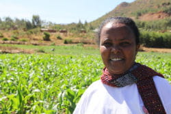 fanta est la chef de la communauté des femmes de la vallée. 