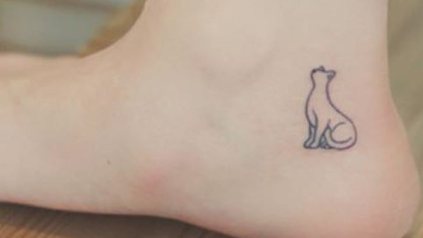 Silhouette de chat sur le talon