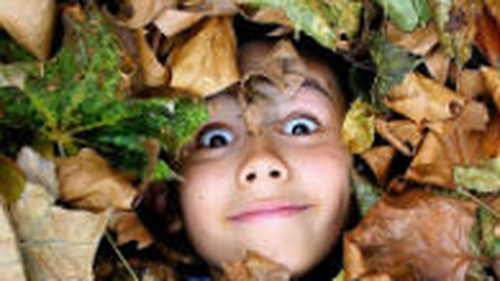 Cache-cache dans le parc