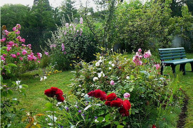 Un petit coin charmant