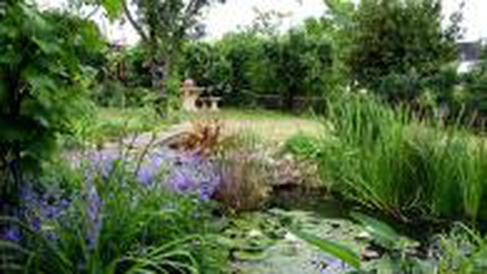 Jardin