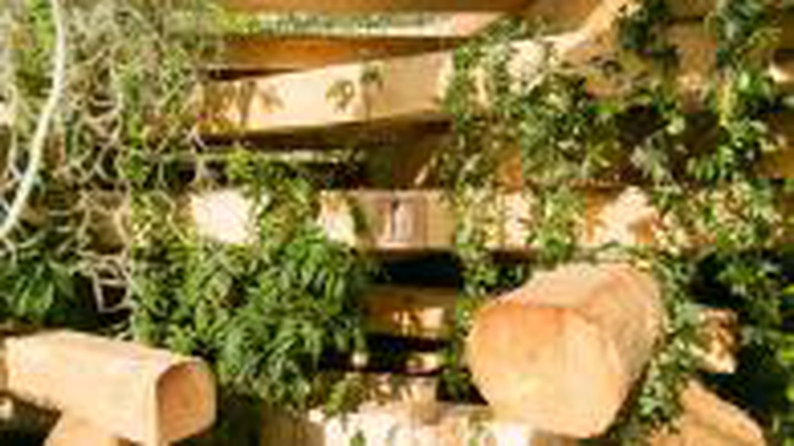 Jardin vertical