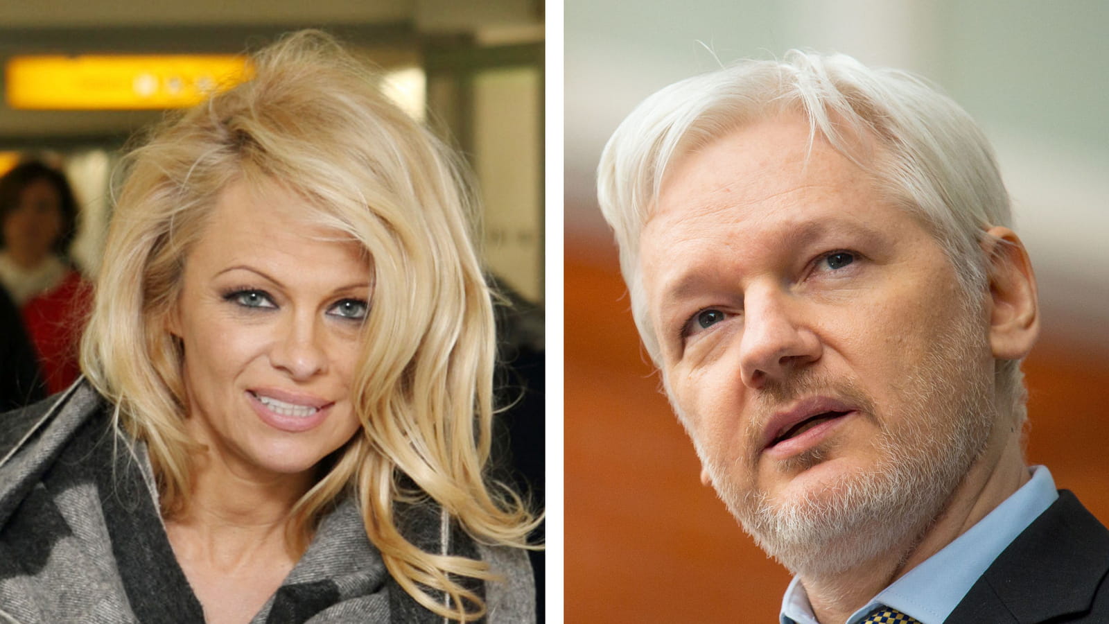 Pamela Anderson et Julian Assange 