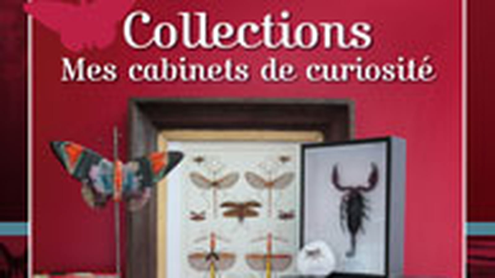 Collections - Mes cabinets de curiosités