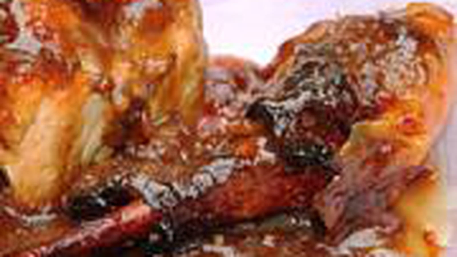 Lapin rôti mariné au teriyaki