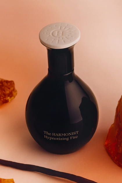 Hypnotizing Fire - The Harmonist