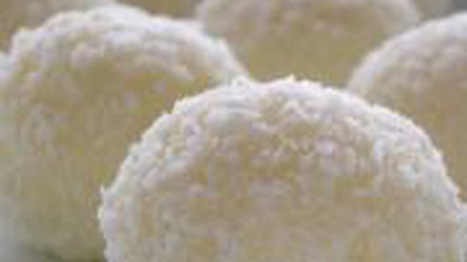 Boules à la noix de coco