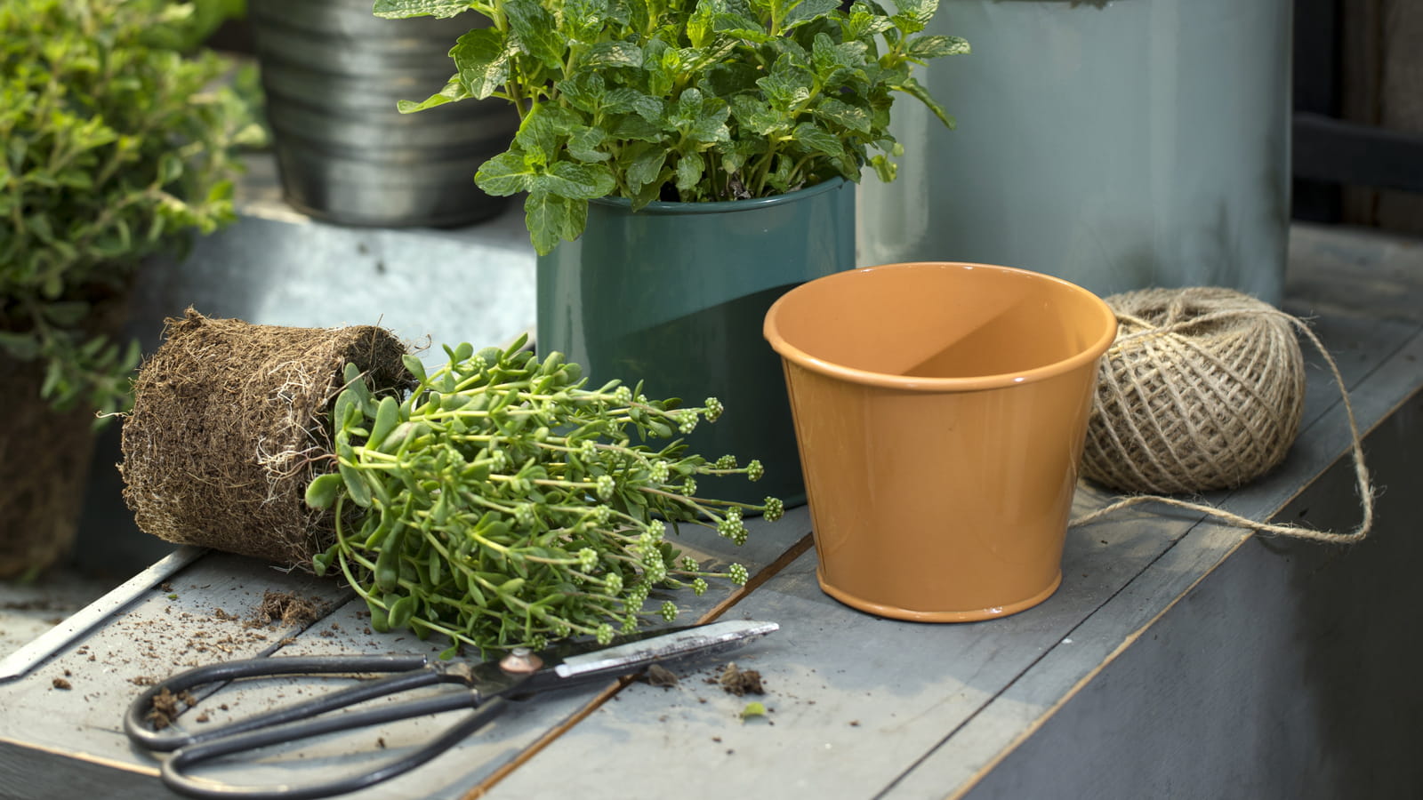 Cache-pot