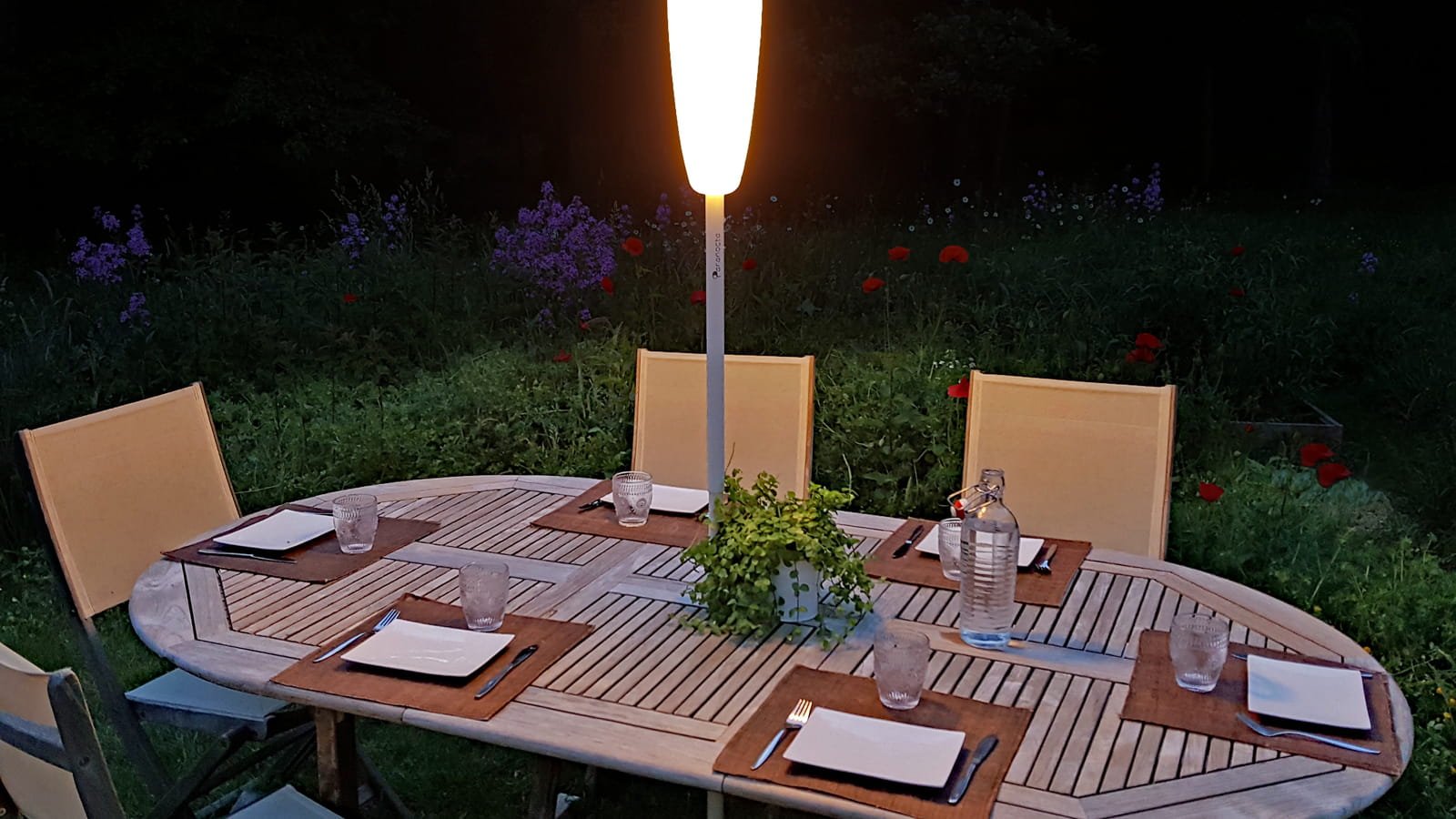 Lampe Paranocta 