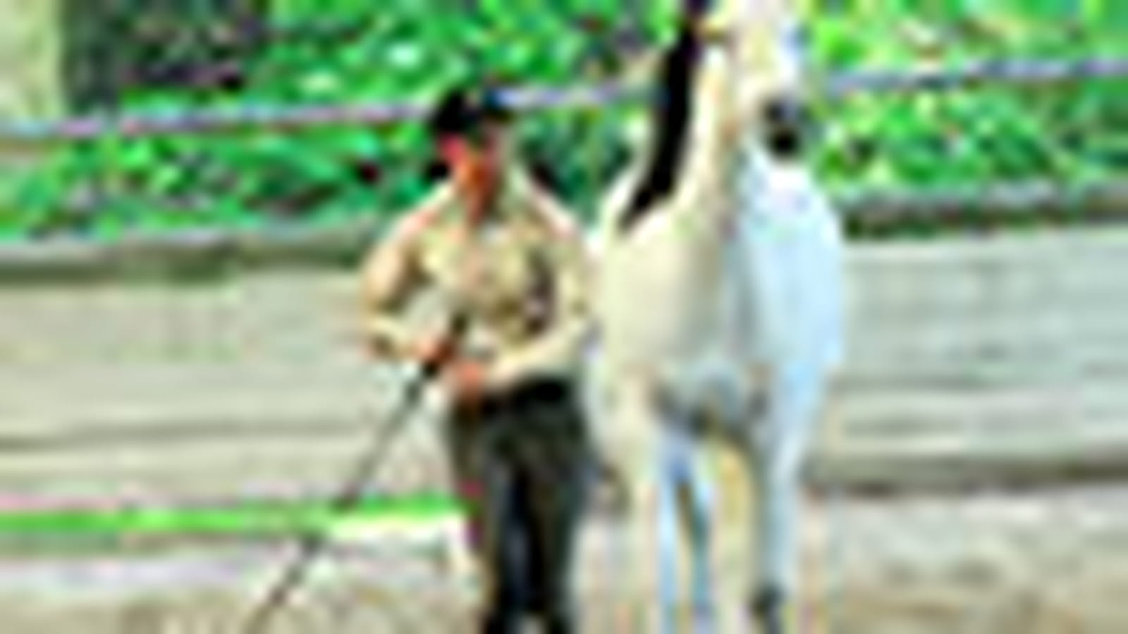 Au Galop