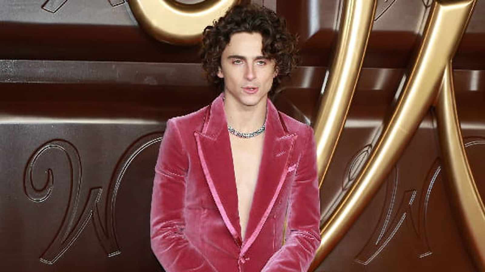 Timothée Chalamet le 28 novembre 2023