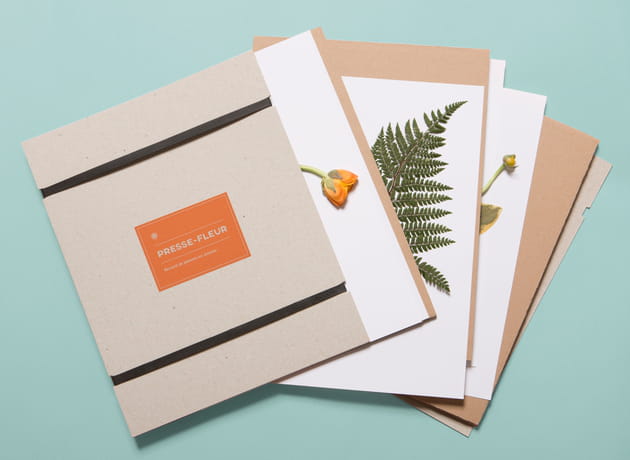 Un presse-fleurs et un herbier Ivy Paysagiste