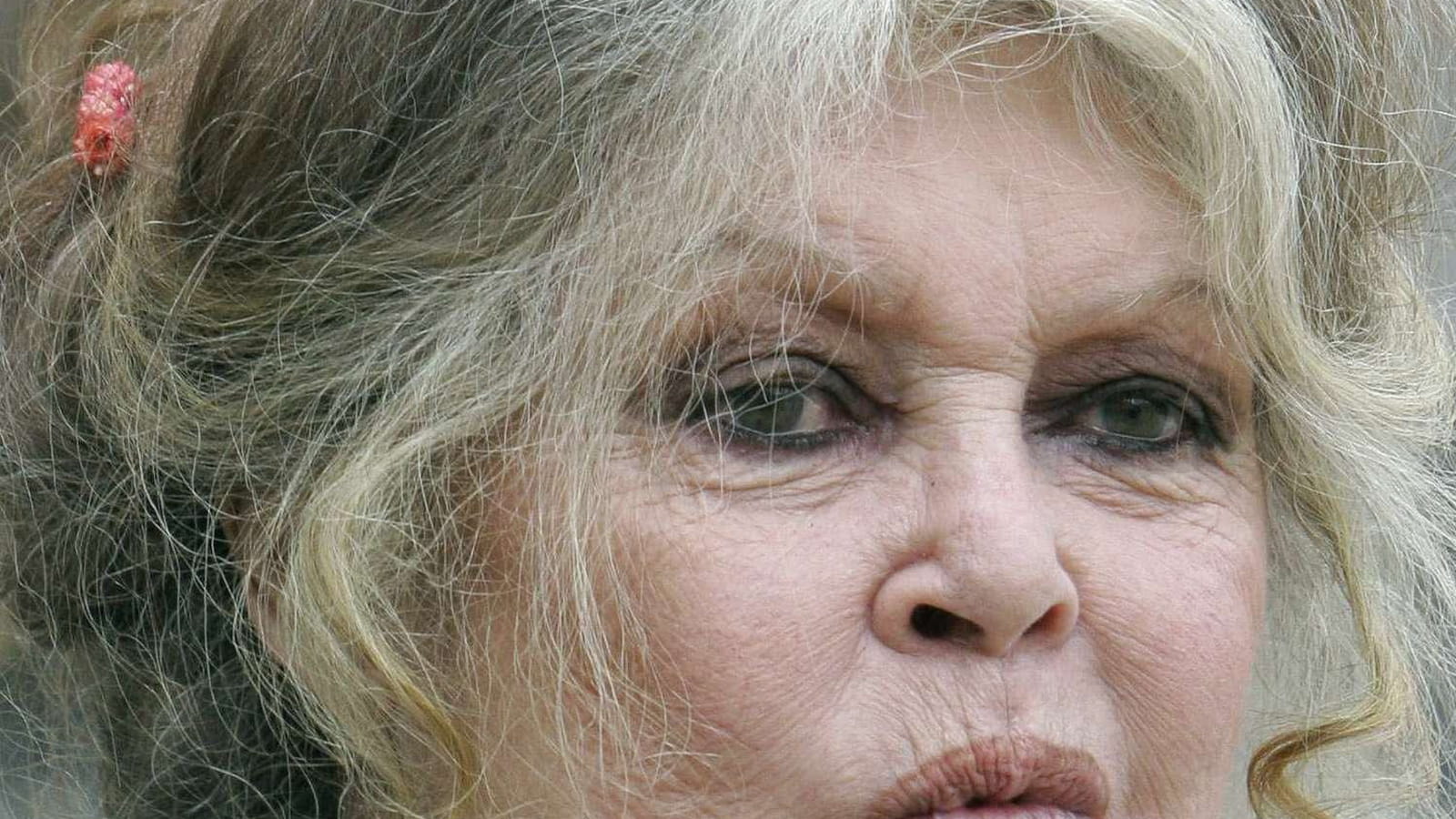 Brigitte Bardot