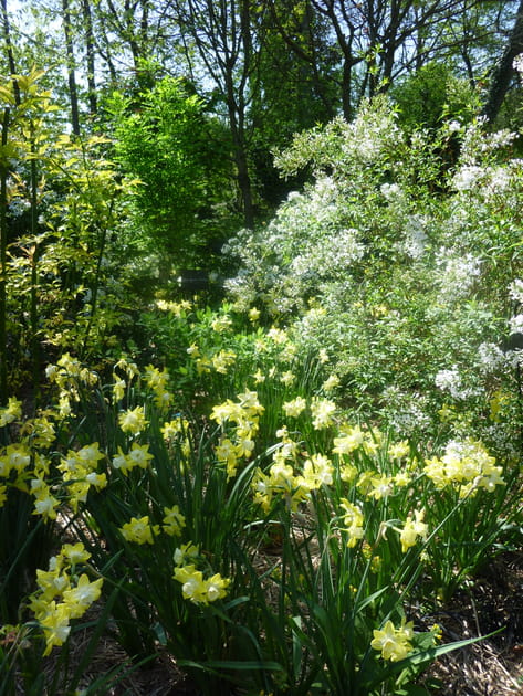 La mise en beaut&eacute; des plantes