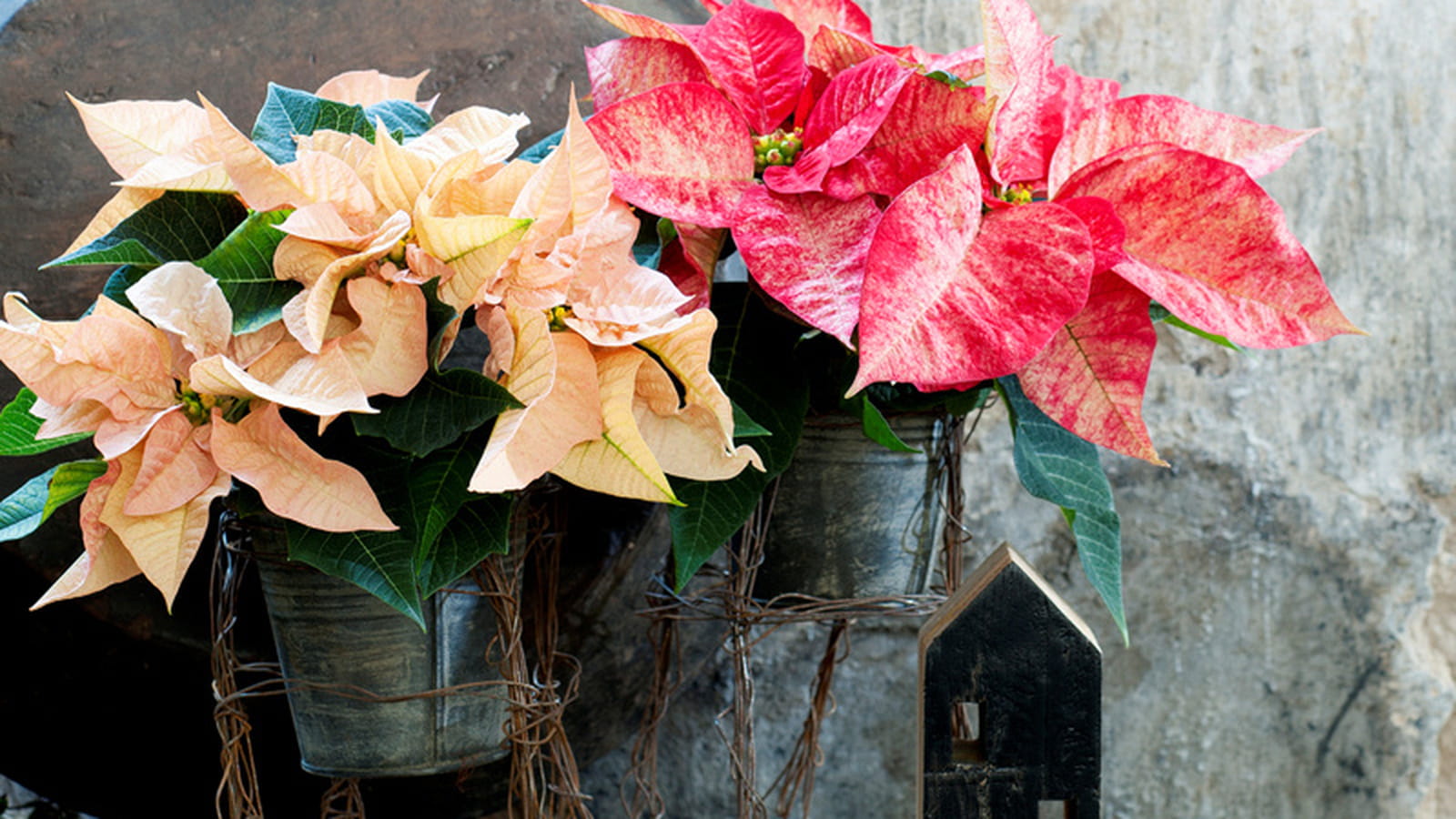 Support de pot de fleurs