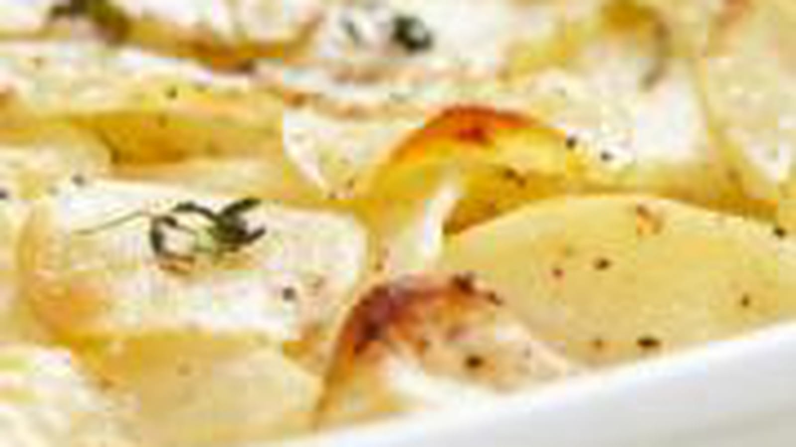 Gratin dauphinois