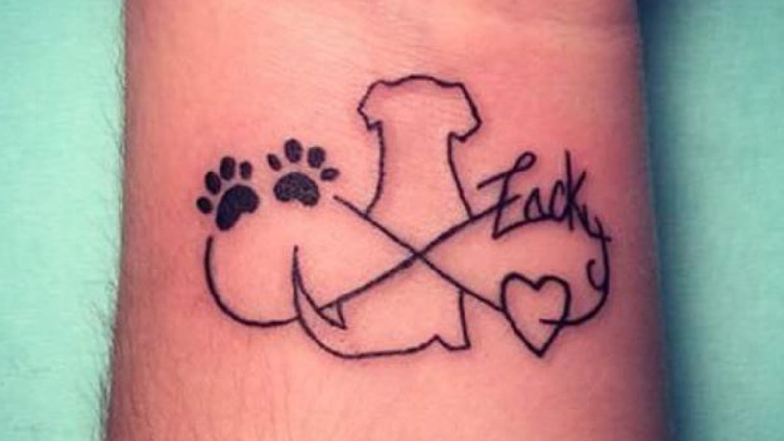 Amour canin infini sur le poignet