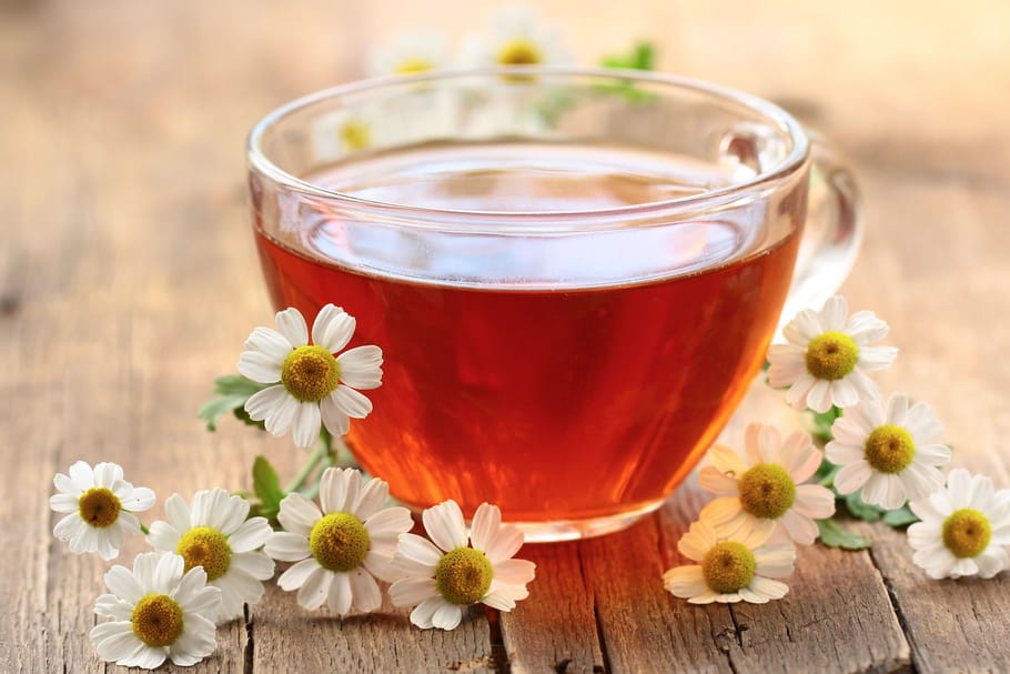 Grande camomille (partenelle) : migraine, bienfaits, effets secondaires
