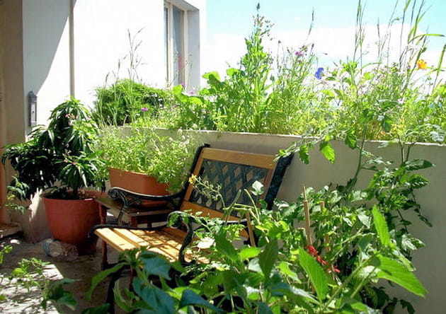 Terrasse v&eacute;g&eacute;tale en appartement