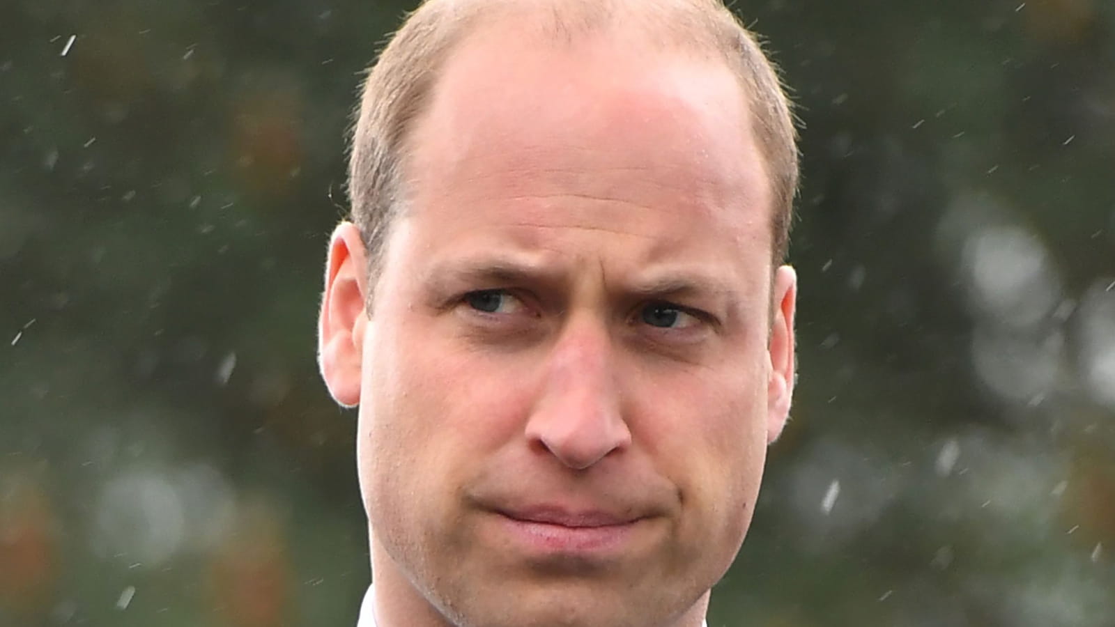 Le prince William