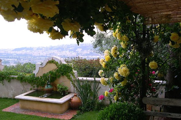 Les roses et la fontaine