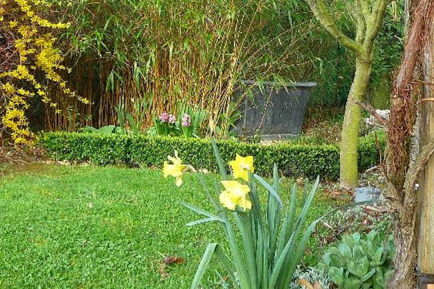 Une baignoire dans le jardin