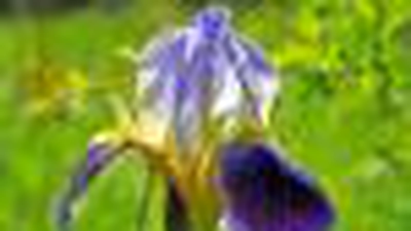 En pleine nature