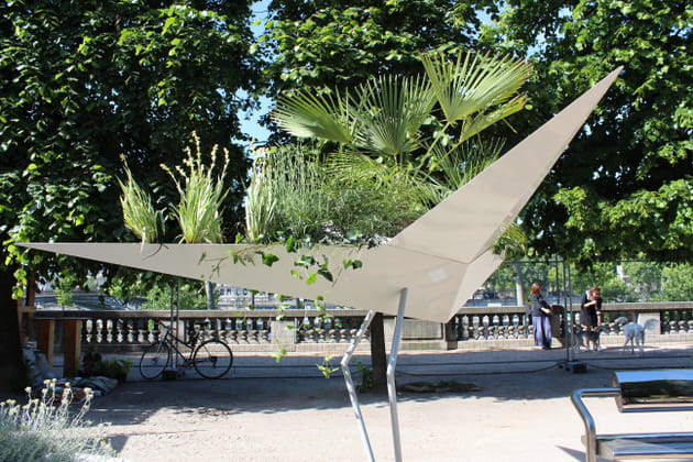 Un albatros végétalisé