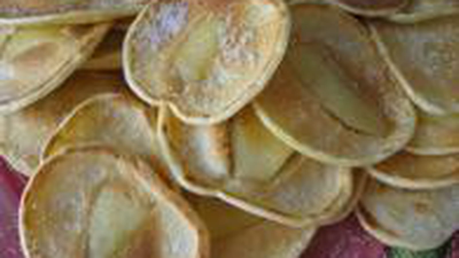 Petites crêpes aux pommes