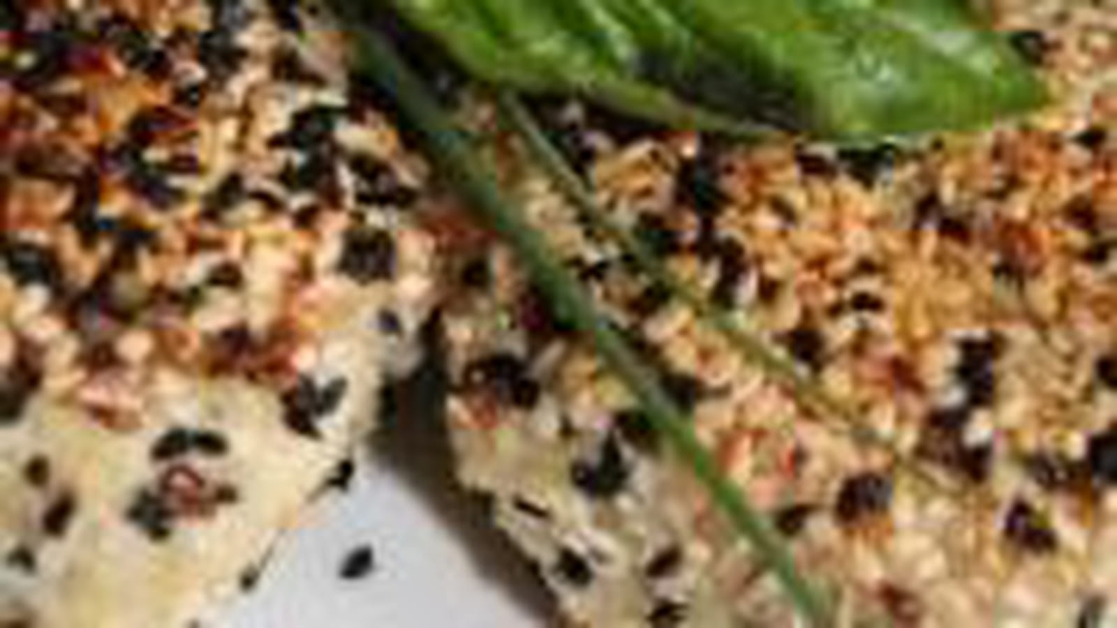 Croquettes de dinde au basilic et parmesan